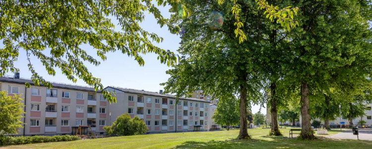 /Global/DisplayMultimediaDescription.ashx?guid=1a344f70-0207-4960-8ae6-f7dc7a2b433f