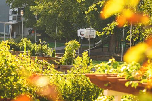 /Global/DisplayMultimediaDescription.ashx?guid=204f767a-2526-407d-862c-2d64387042c7