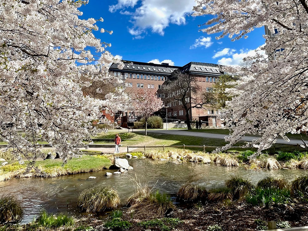 /Global/DisplayMultimediaDescription.ashx?guid=294c45cb-f663-491e-837b-5c64a9670591