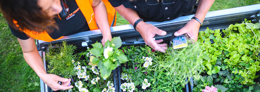 /Global/DisplayMultimediaDescription.ashx?guid=36a7bbd6-fa87-4bc4-86cc-6e3aa44a5f2c