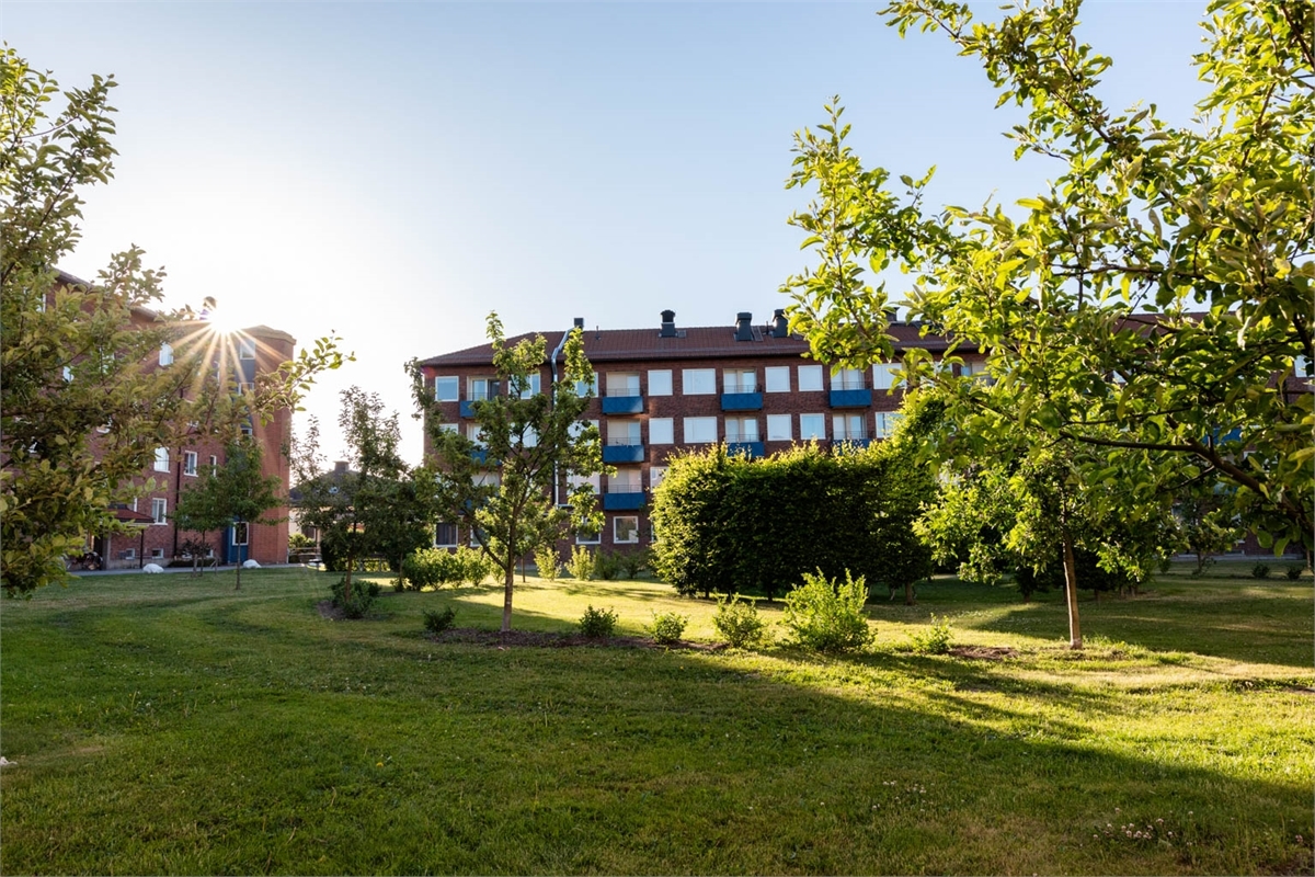 /Global/DisplayMultimediaDescription.ashx?guid=530baae4-90c3-43d8-af0b-4567f1ca2530