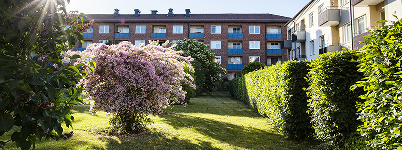 /Global/DisplayMultimediaDescription.ashx?guid=693e7ec6-3a8e-4a13-a723-976525d0d9ee