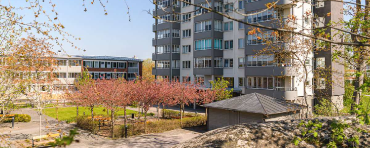 /Global/DisplayMultimediaDescription.ashx?guid=6a330ee8-65f9-4e0c-a678-89fea7480543