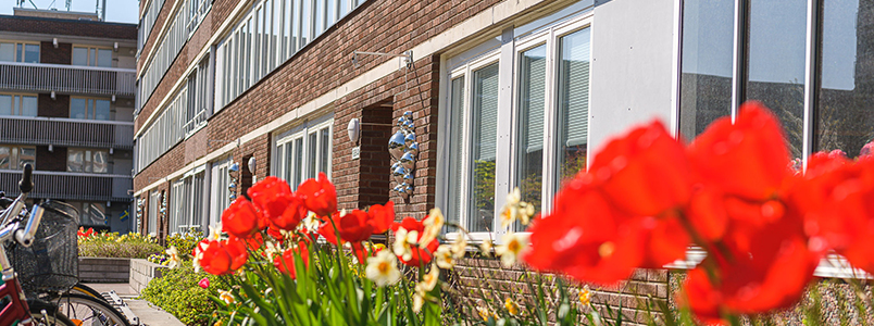 /Global/DisplayMultimediaDescription.ashx?guid=6aa1de63-6649-471d-99bf-7ff47c7fee90