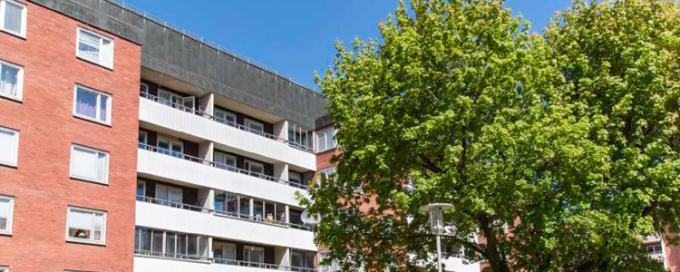 /Global/DisplayMultimediaDescription.ashx?guid=6dad4b36-a0fc-4f3c-9f35-d4fe15f612b3