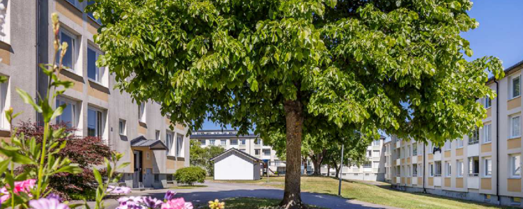 /Global/DisplayMultimediaDescription.ashx?guid=b16e75d2-42d0-4666-9fb1-daf58f757970