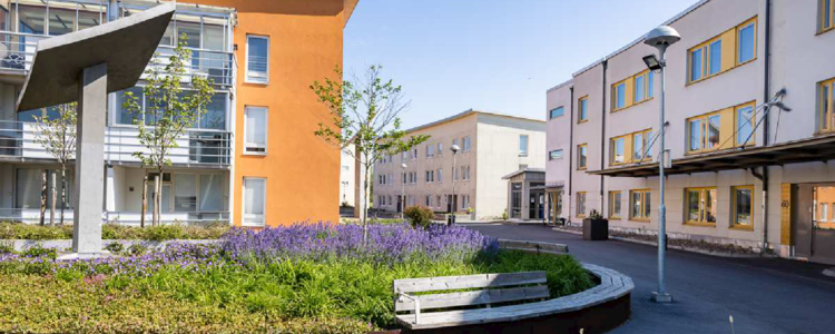 /Global/DisplayMultimediaDescription.ashx?guid=b5d42f54-5d48-46ab-97f4-a143d65fe5c7