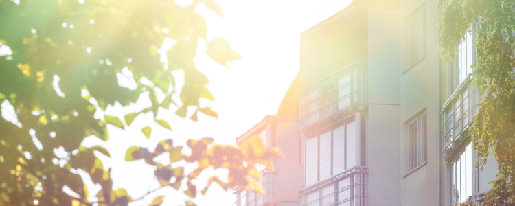 /Global/DisplayMultimediaDescription.ashx?guid=ce2a5e60-0ea2-480b-9682-eb6a7ddc2973