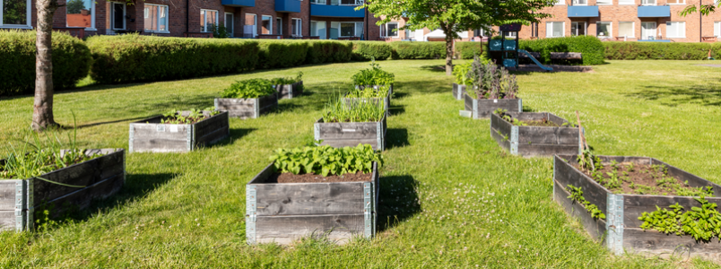 /Global/DisplayMultimediaDescription.ashx?guid=ec6c9357-a838-425a-9d96-afe5d9ff8334